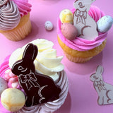 Chocolate bunny acrylic mini topper